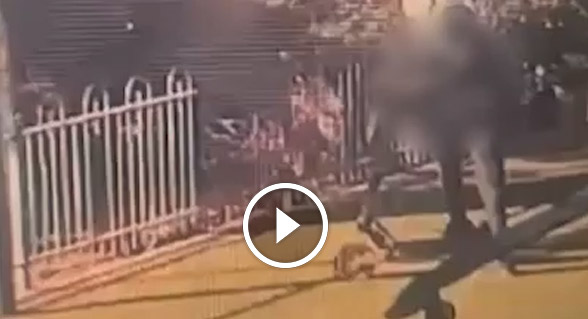 اعتقال 3 قاصرين من يافا بشبهة اضرام النار بحدائق عامة