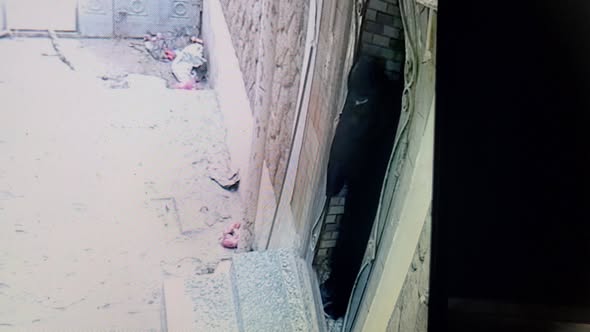 بسبب "رفض زوجته فتح الباب".. مصور يمني يتهم متسولة بمحاولة إحراق منزله
